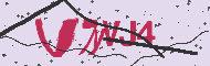 Captcha認証コード